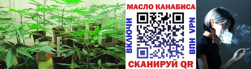 ТГК THC oil  Гай 